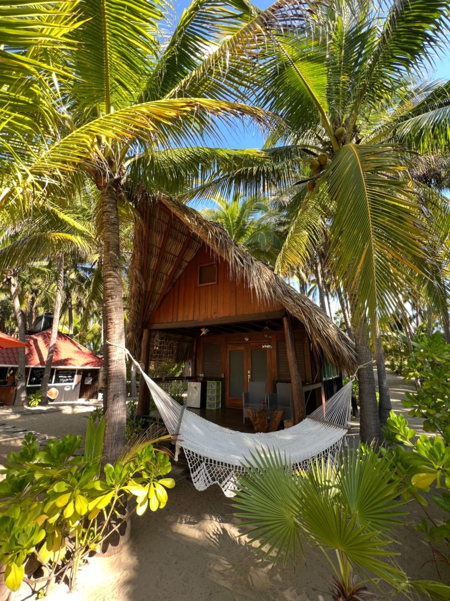 Bungalows Tree Tops - Adults Only Сиуатанехо Экстерьер фото